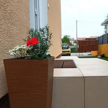 Apartman Sandra -Private Parking And Garden Zadar Bagian luar foto