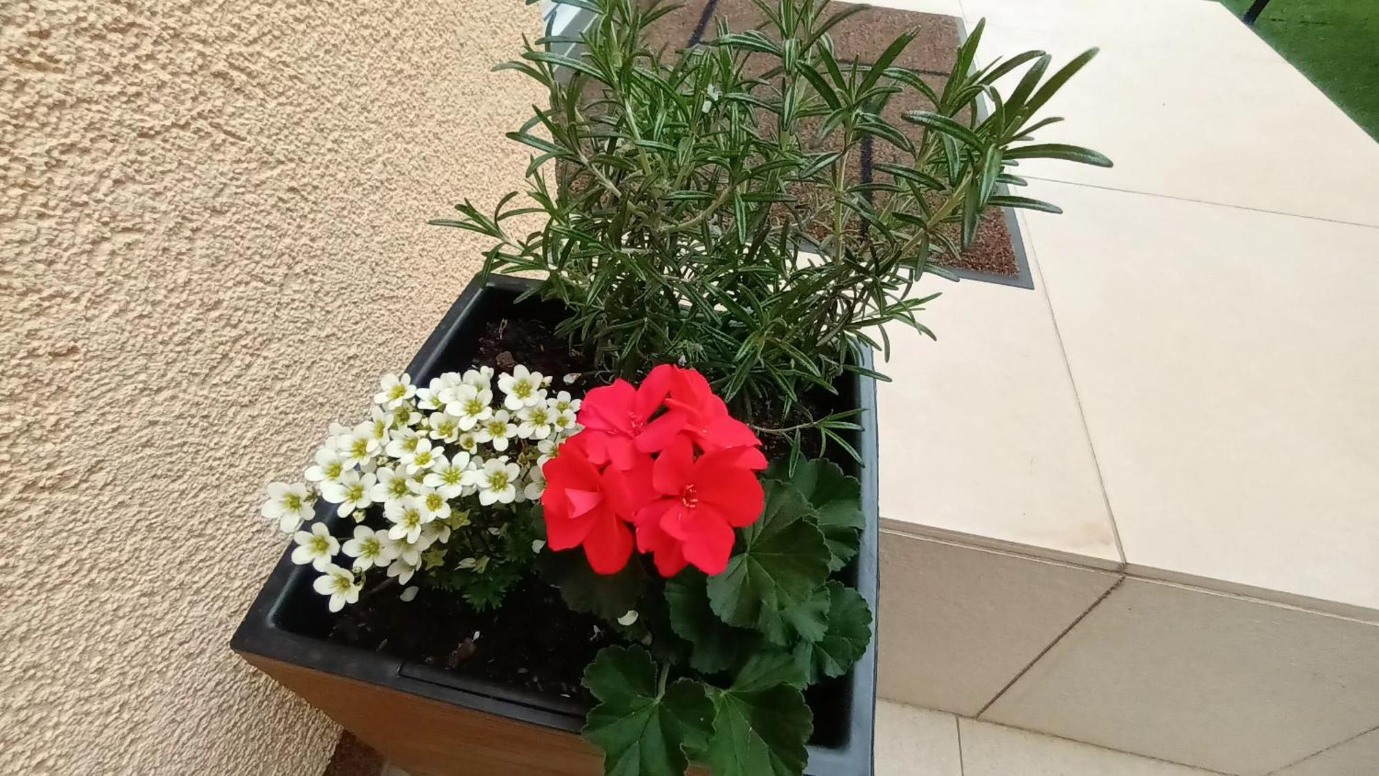 Apartman Sandra -Private Parking And Garden Zadar Bagian luar foto