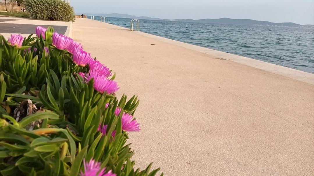 Apartman Sandra -Private Parking And Garden Zadar Bagian luar foto