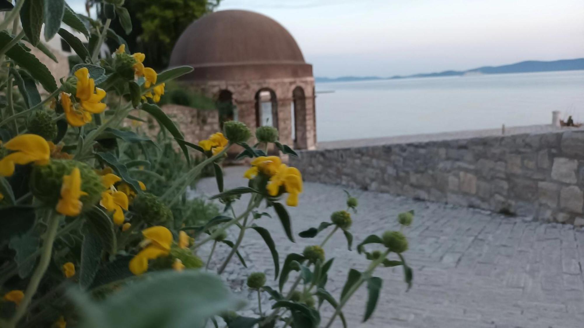 Apartman Sandra -Private Parking And Garden Zadar Bagian luar foto